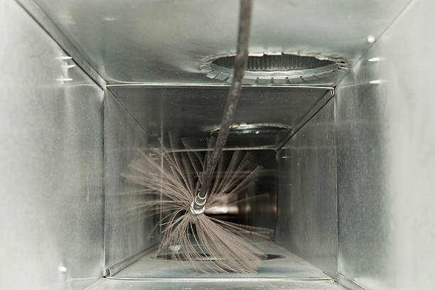 Best Dryer Vent Cleaning Services  in Roswell, NM